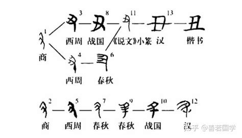 丑 方位|分解十二地支最深刻的解读2（丑）